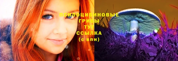 PSILOCYBIN Абаза
