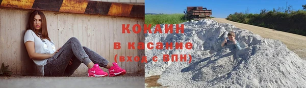 PSILOCYBIN Абаза