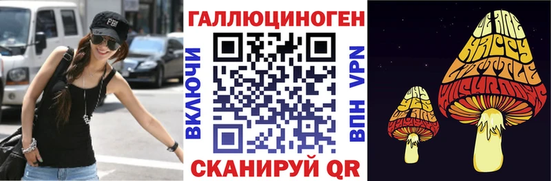 Псилоцибиновые грибы Psilocybe  площадка состав  Кедровый  сколько стоит 